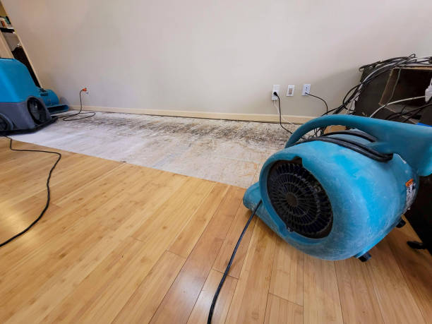 Professional Water Damage Repair technician working in Lobelville, TN